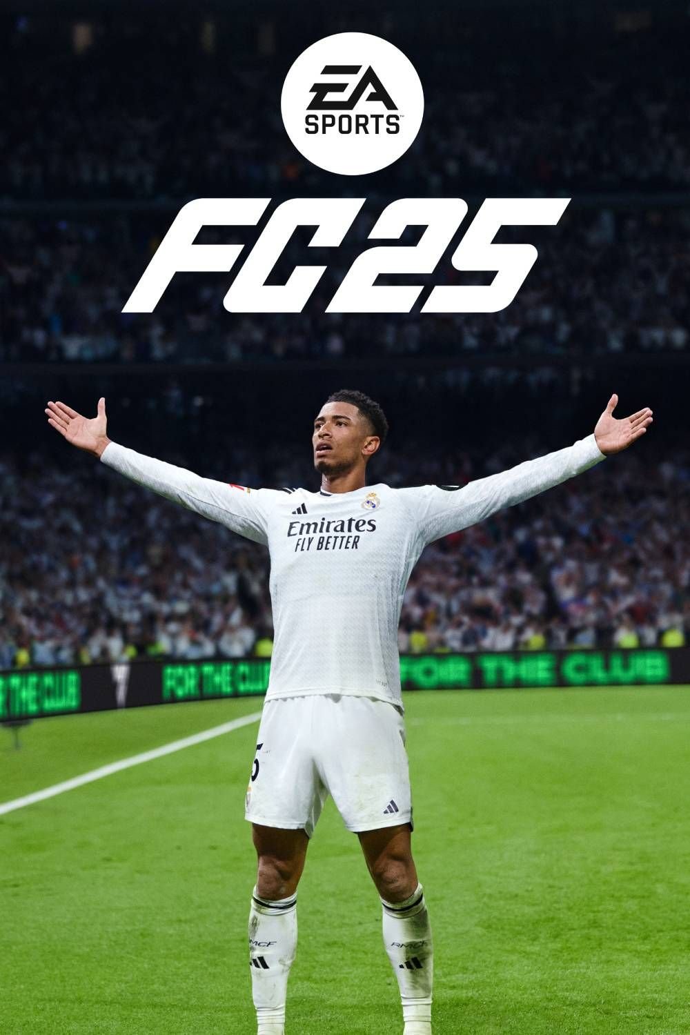 ea-sports-fc-25-tag-page-cover-art.jpg